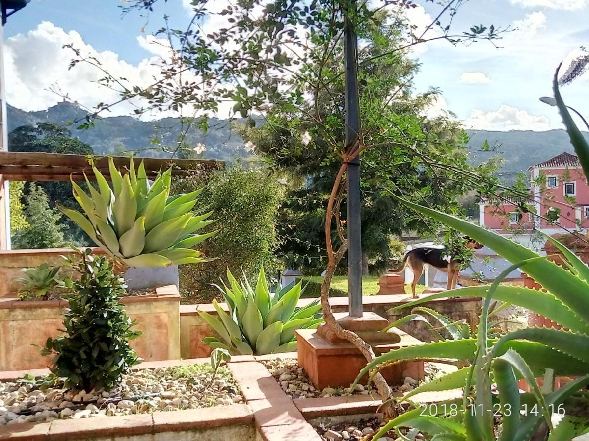 Casa De Santo Amaro Bed & Breakfast ซินตรา ภายนอก รูปภาพ
